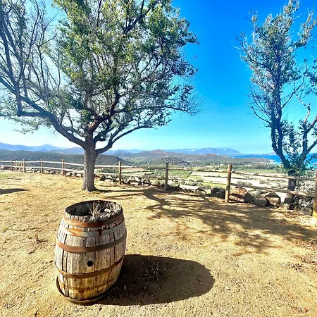 Sea View Cea * バリ・サルド